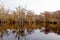 Fall Forest wetland Merchants Millpon NC SP USA