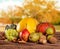 Fall fruit and vegetables on wood. Thanksgiving