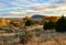 Fall in Galisteo New Mexico