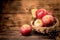 Fall harvest cornucopia. Basket with red apples in the garden.