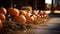 Fall harvest pumpkins and hay decorating the country barn scene - generative AI
