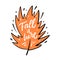 Fall is here hand lettering phrase. Vector illustration.