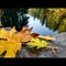 Fall hike in Washington state