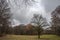 Fall landscape with bare trees and dramatic overcast cloudy sky. Tiergarten park of Berlin Germany. Autumn view to park lawn.