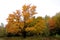 Fall landscape eastern township