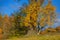 Fall landscape with fields of yellow grass and colorful leaves o