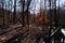 Fall landscape in Missouri park along nature trail