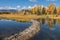 Fall Landscape Reflection in the Tetons