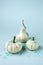 Fall layout made of white pumpkin with blue color splash