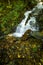 Fall leaves appear at bottom of waterfall in Pisgah Forest