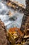 The fall leaves on branch, background the rocky creek at autumn forest