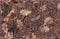 Fall leaves on the bush. Ideal for hunting and military purposes. Realistic camouflage seamless