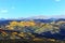 Fall Leaves in COLORADO Mountain