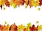Fall leaves concept. Autumn border, paper cut frame of orange and red leaf. Thanksgiving foliage decoration. Seasonal