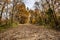 Fall leaves on the old Rock Island railroad trail