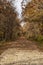 Fall leaves on the old Rock Island railroad trail