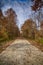 Fall leaves on the old Rock Island railroad trail