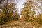 Fall leaves on the old Rock Island railroad trail