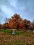 Fall Leaves in the Peaceful Cemetery