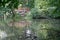 Fall lush pond in city park with trees