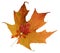 Fall Maple leaf with maple candy