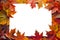 Fall Maple Leaves Border