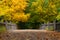 Fall at Matthiessen State Park