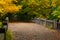 Fall at Matthiessen State Park