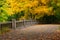 Fall at Matthiessen State Park