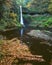 Fall, Middle North Falls, Silver Falls State Park