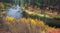 Fall Morning on the Metolius River