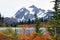 Fall at Mount Baker