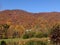 Fall mountain madness