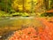 Fall at mountain river. Low level of water, gravel with vivid colorful leaves. Mossy boulder