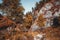 Fall mountain scenery with a fence