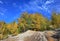 Fall nature background. Trees wiht yellow leaves, bright blue sky and granite mountains.