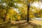 Fall on Ogle Lake, Brown County State Park, Indiana