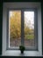 Fall outside the window