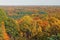 Fall Panorama in a Midwest Forest