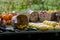 Fall produce for sale at an Indiana farm stand