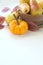 Fall Pumpkin and Bartlett Pears Still Life in High Key Natural Window light with copy space below.  It`s vertical copy space