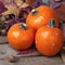 Fall Pumpkin still life with the small gourds in rustic scene with barn wood and colorful fall leaves.  It`s a closeup with squar