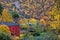 Fall red leafs climb a multi stored building fasade, omitting wi