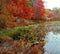 Fall Reflections, New York State