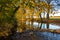 Fall reflections in a stream, in rural Frederick County, Maryland.