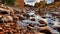 Fall River Landscape With Rocks And Tall Pines