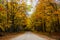 Fall road in forest of Pictured Rocks National Lakeshore Munising. Trees tunnel.