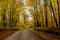 Fall road in forest of Pictured Rocks National Lakeshore Munising. Trees tunnel.