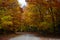 Fall road in forest of Pictured Rocks National Lakeshore Munising. Trees tunnel.