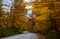 Fall road in forest of Pictured Rocks National Lakeshore Munising. Trees tunnel.